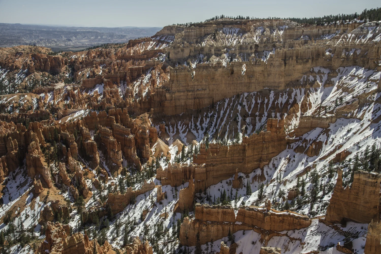 Bryce 34-12.jpg