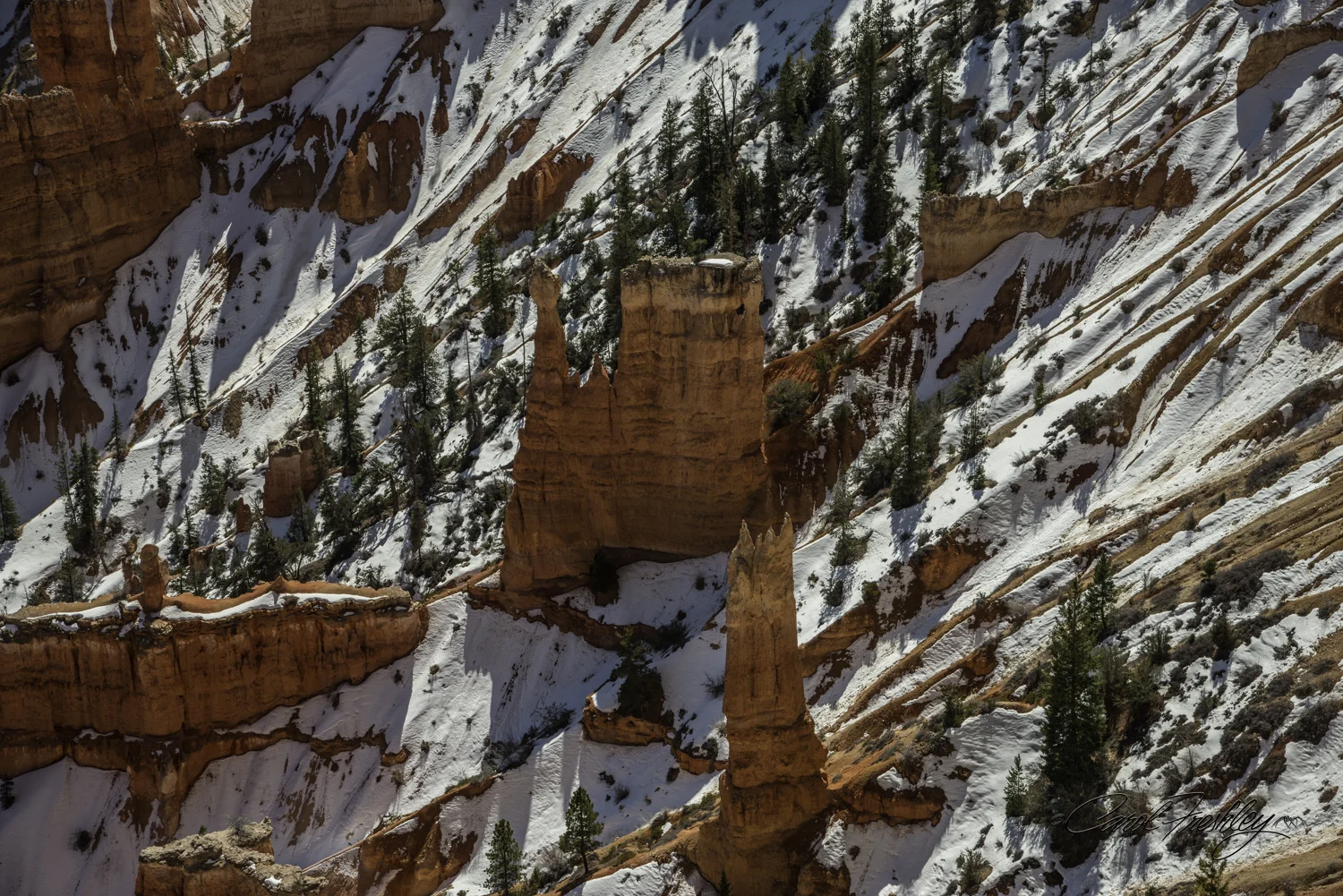 Bryce 37-13.jpg