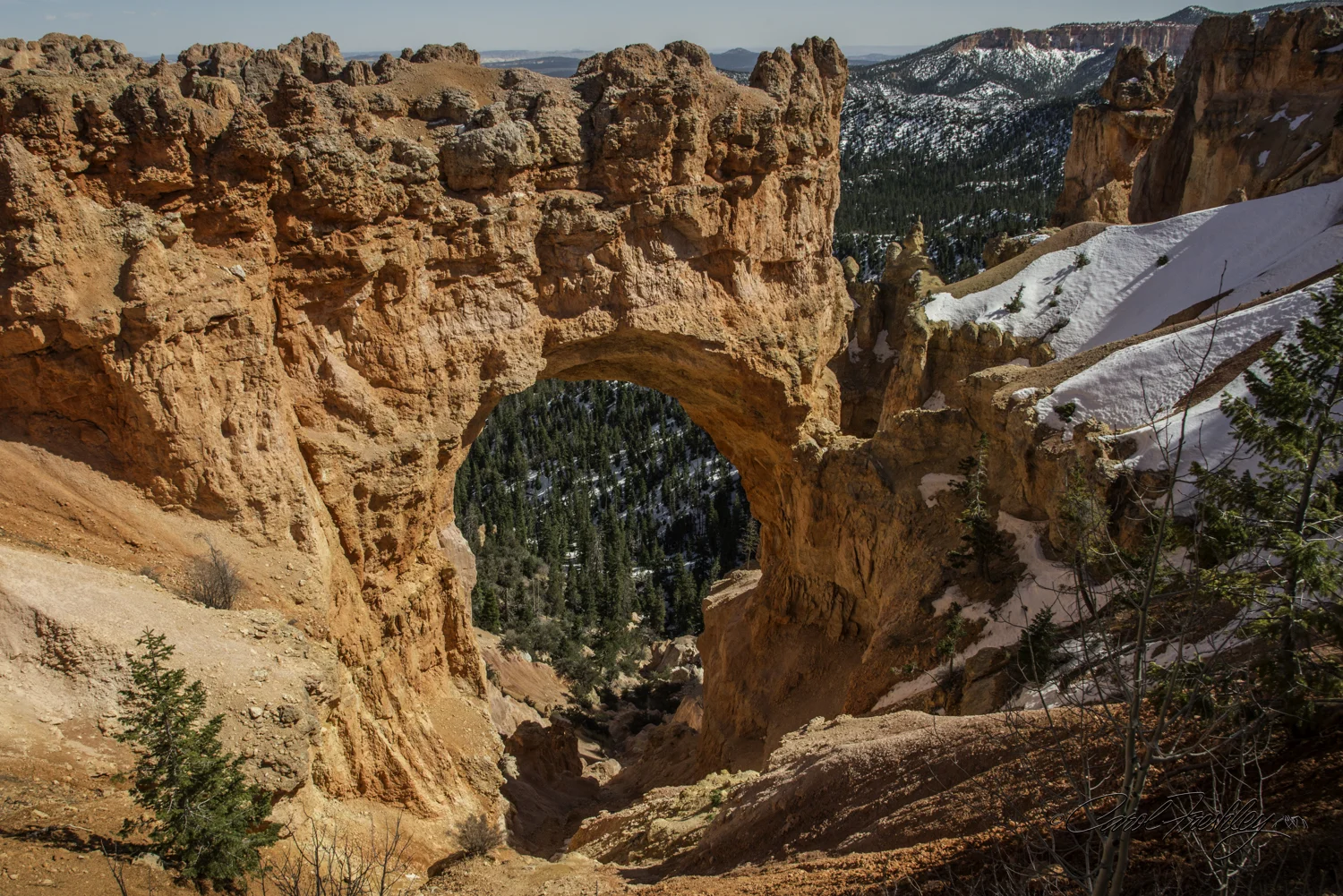 Bryce 41-14.jpg