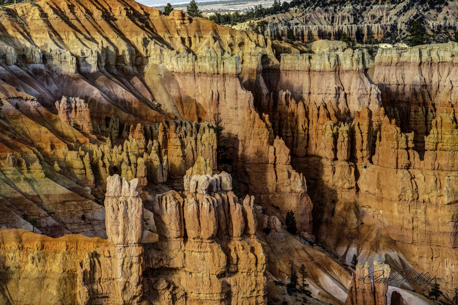 Bryce 49-15.jpg
