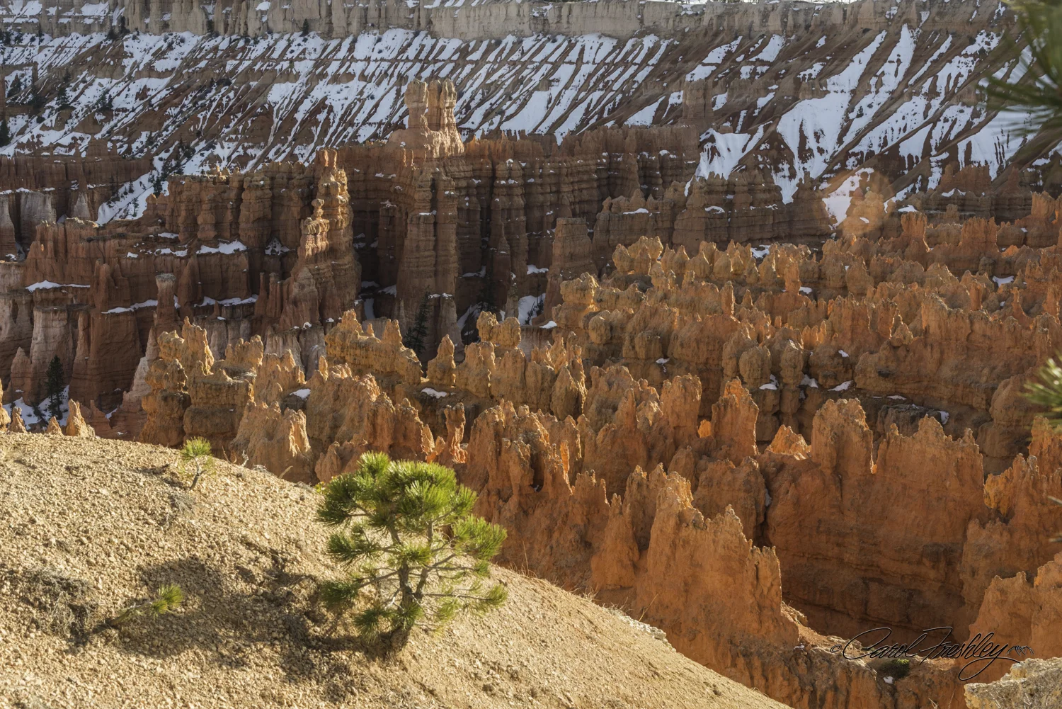 Bryce 59-18.jpg