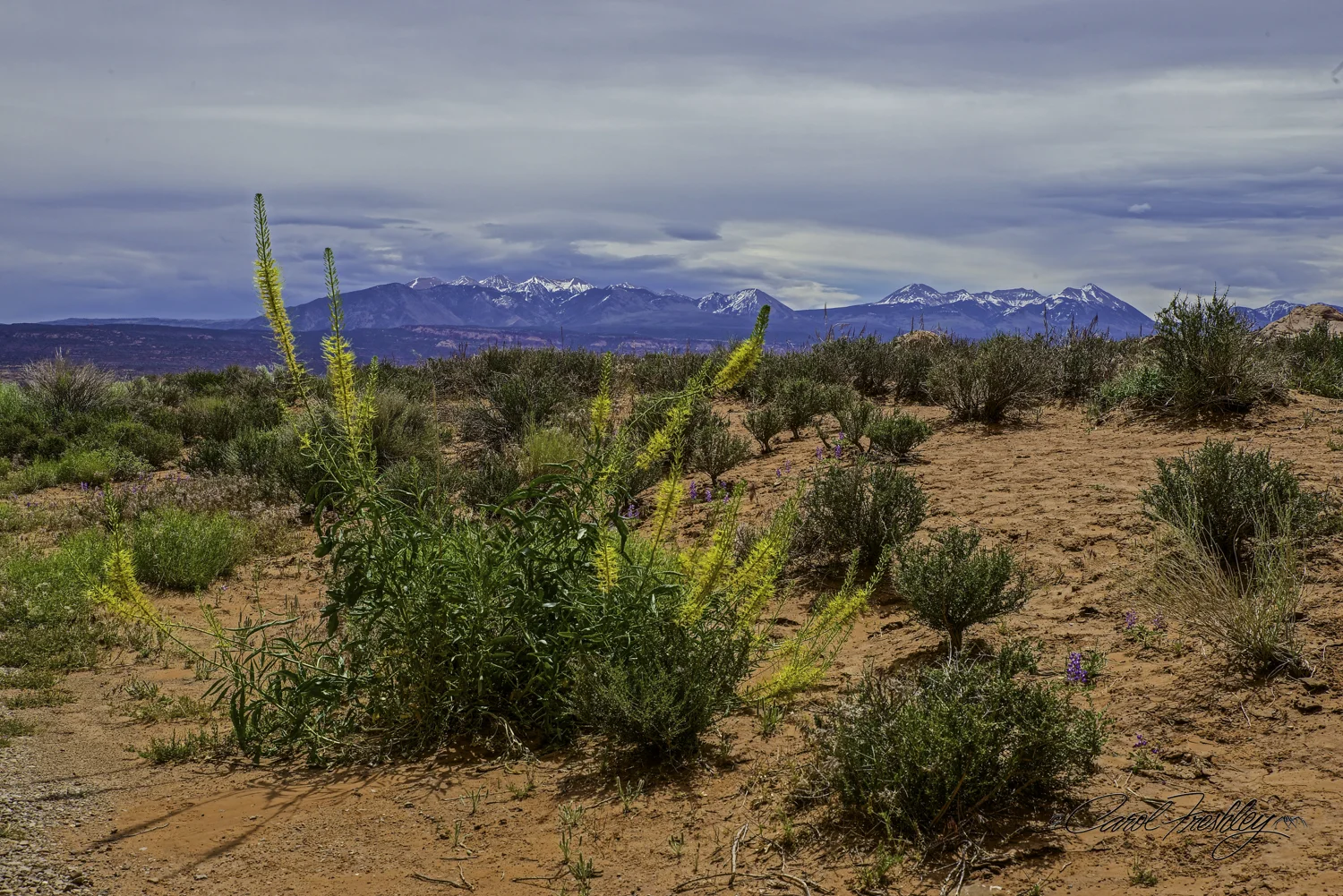Arches National Monument-2-1.jpg