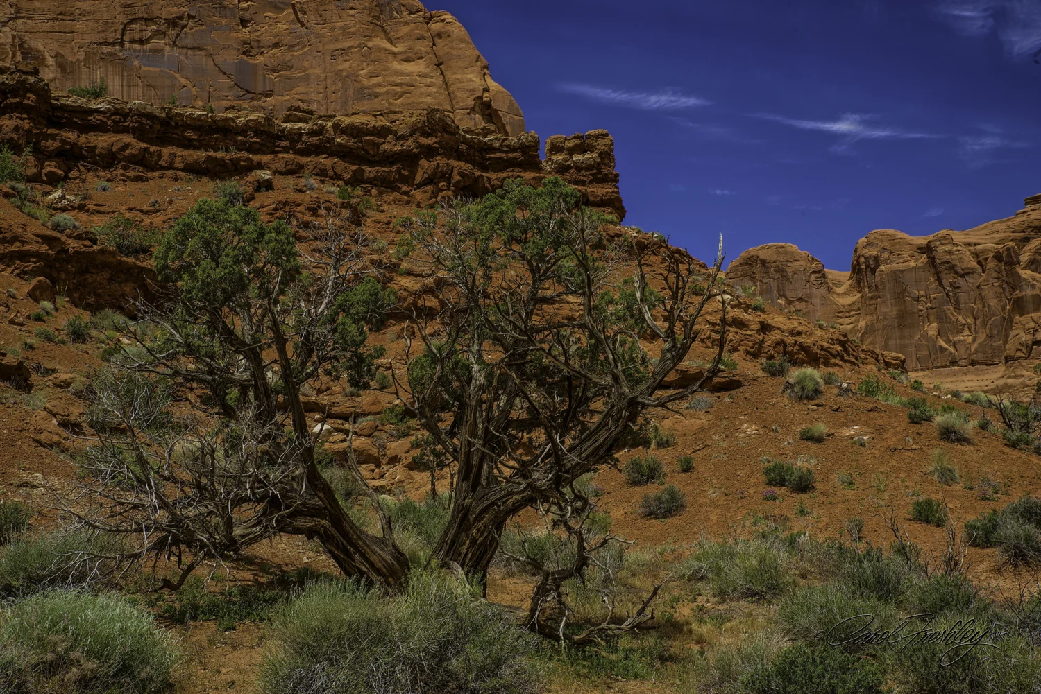 Arches National Monument-8-5.jpg