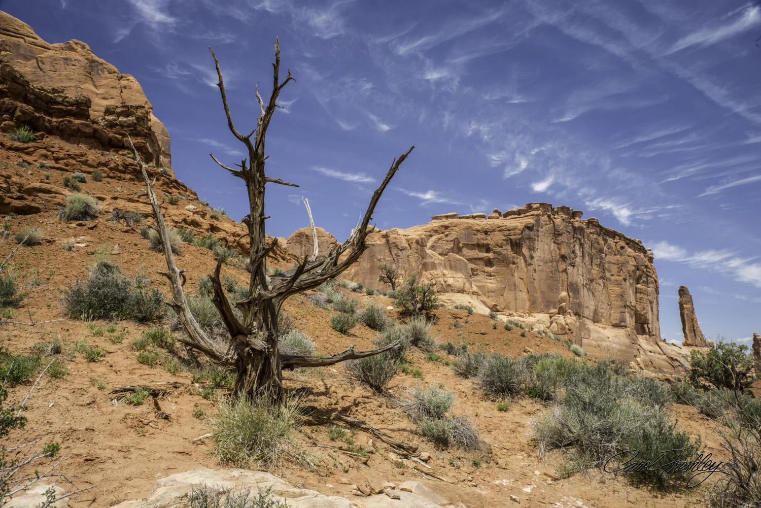 Arches National Monument-9-6.jpg