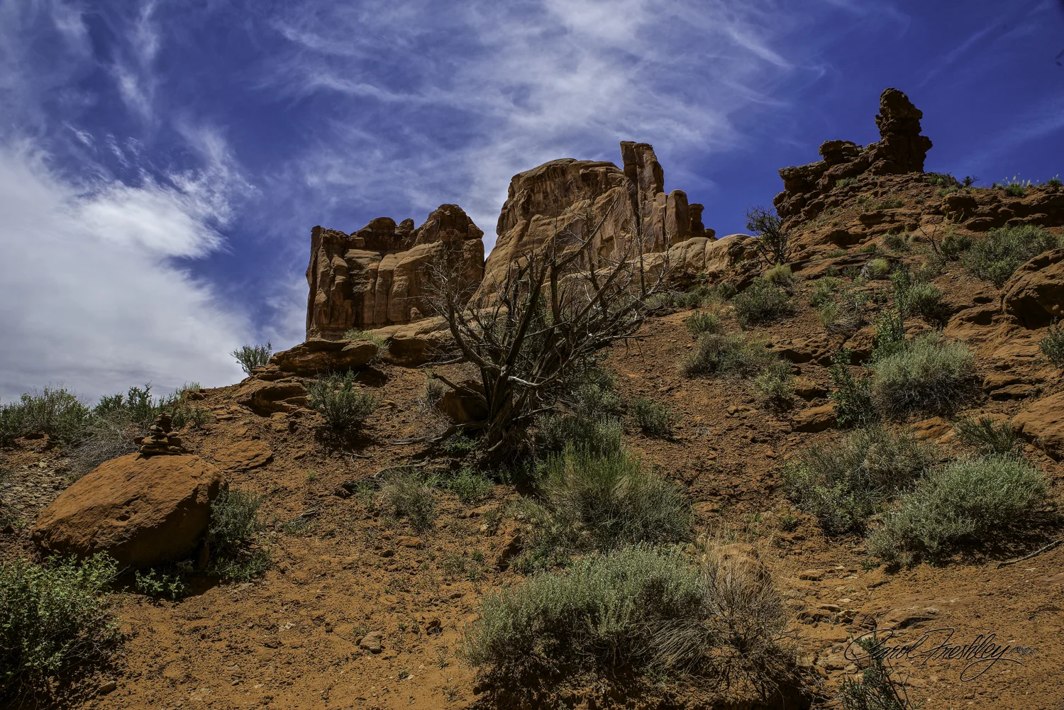 Arches National Monument-10-7.jpg