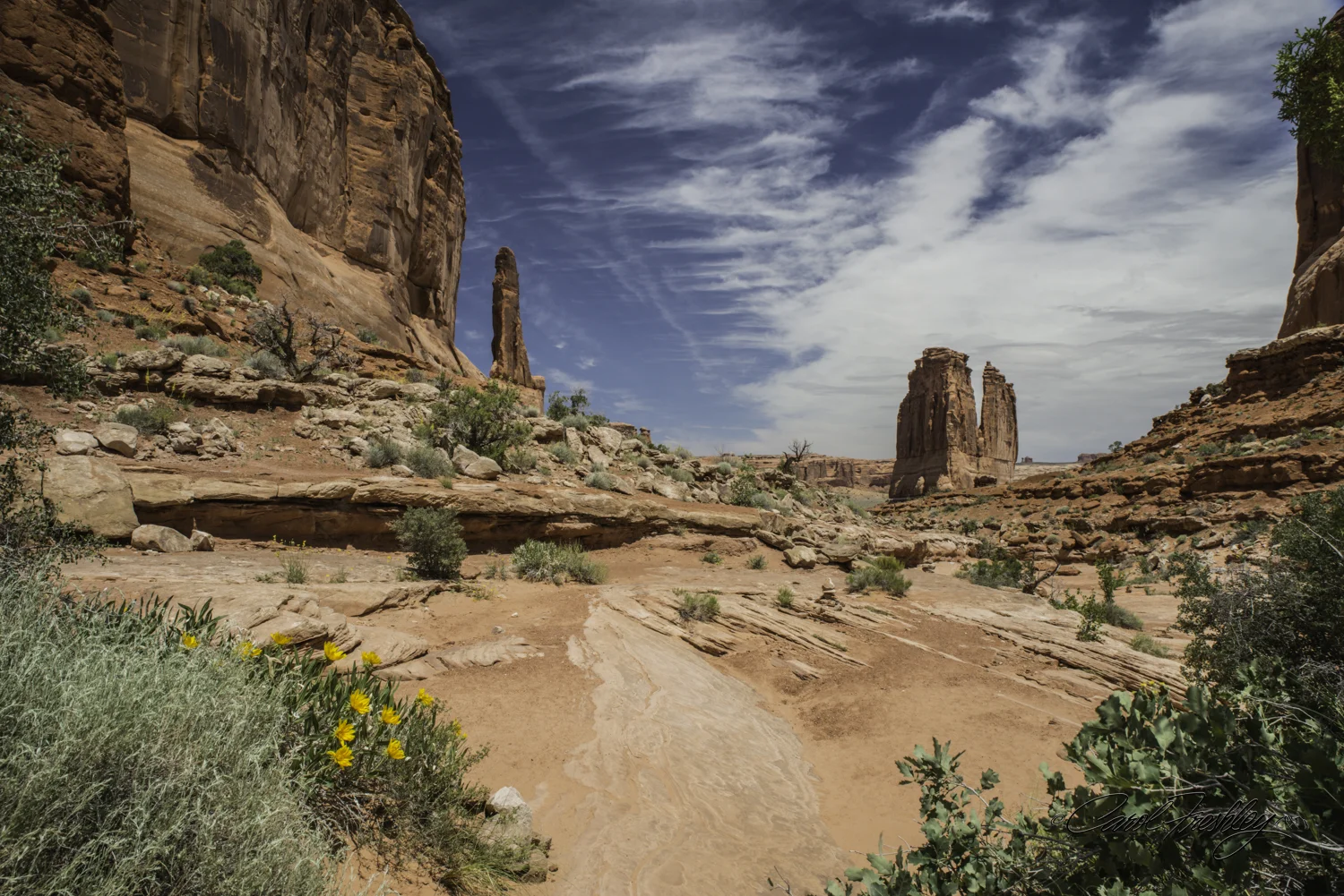 Arches National Monument-12-8.jpg