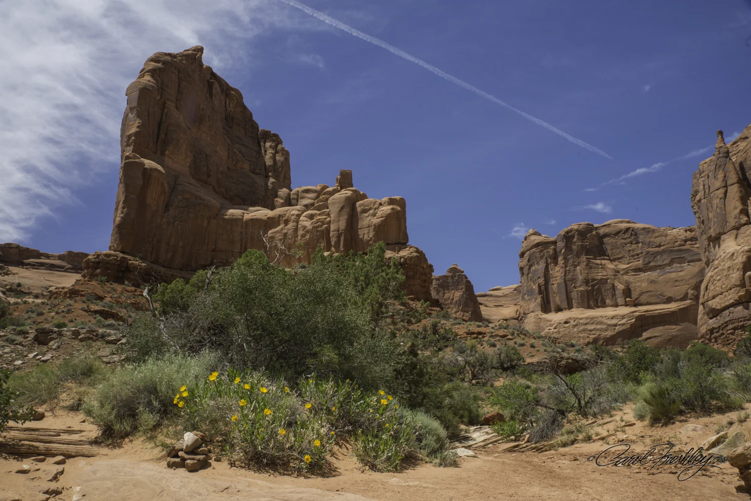 Arches National Monument-13-9.jpg