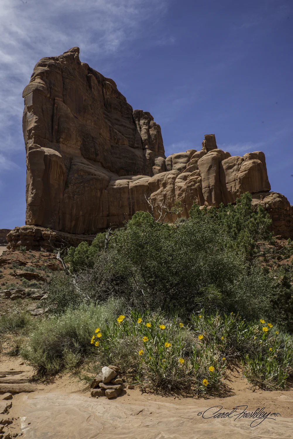Arches National Monument-14-10.jpg