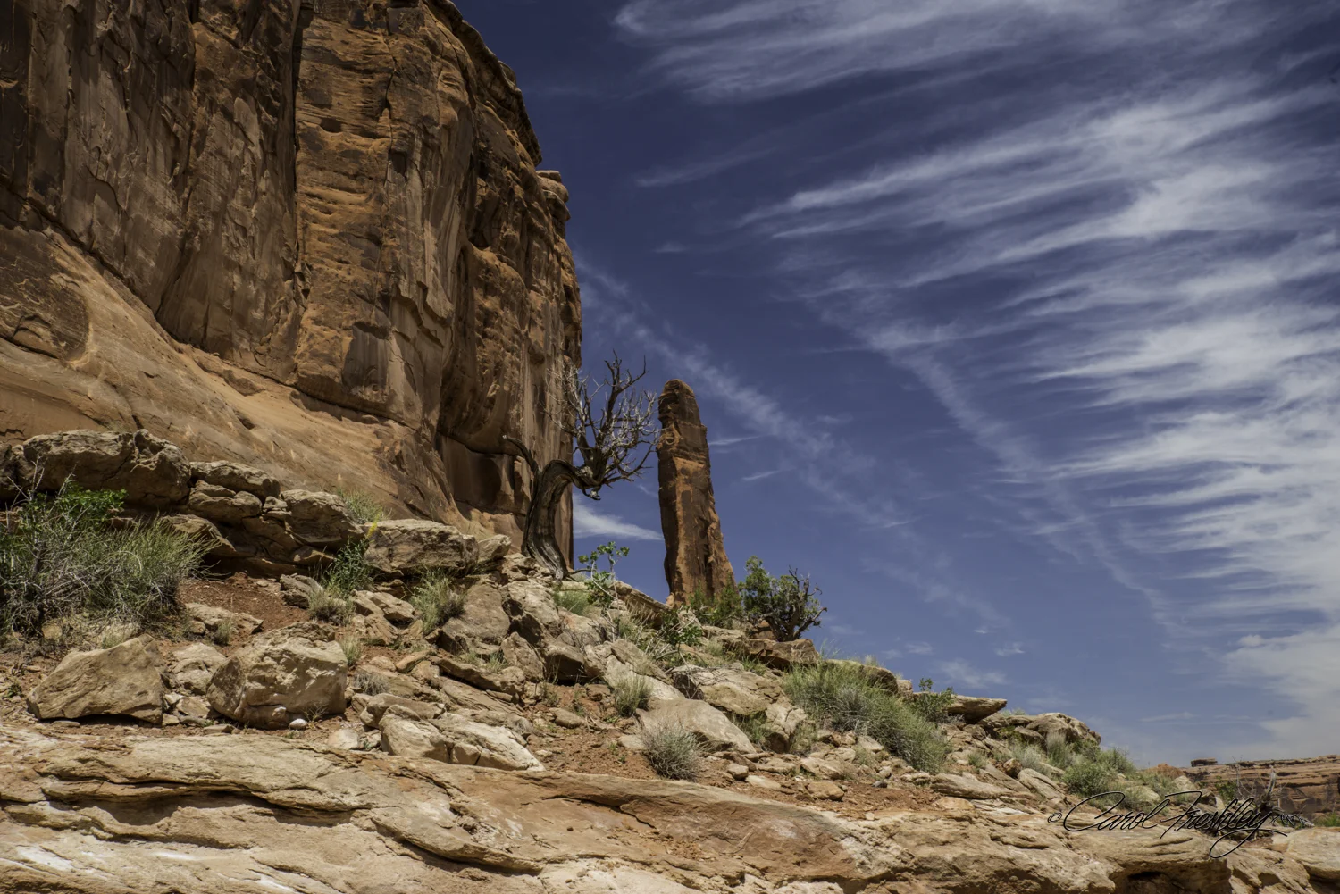 Arches National Monument-15-11.jpg