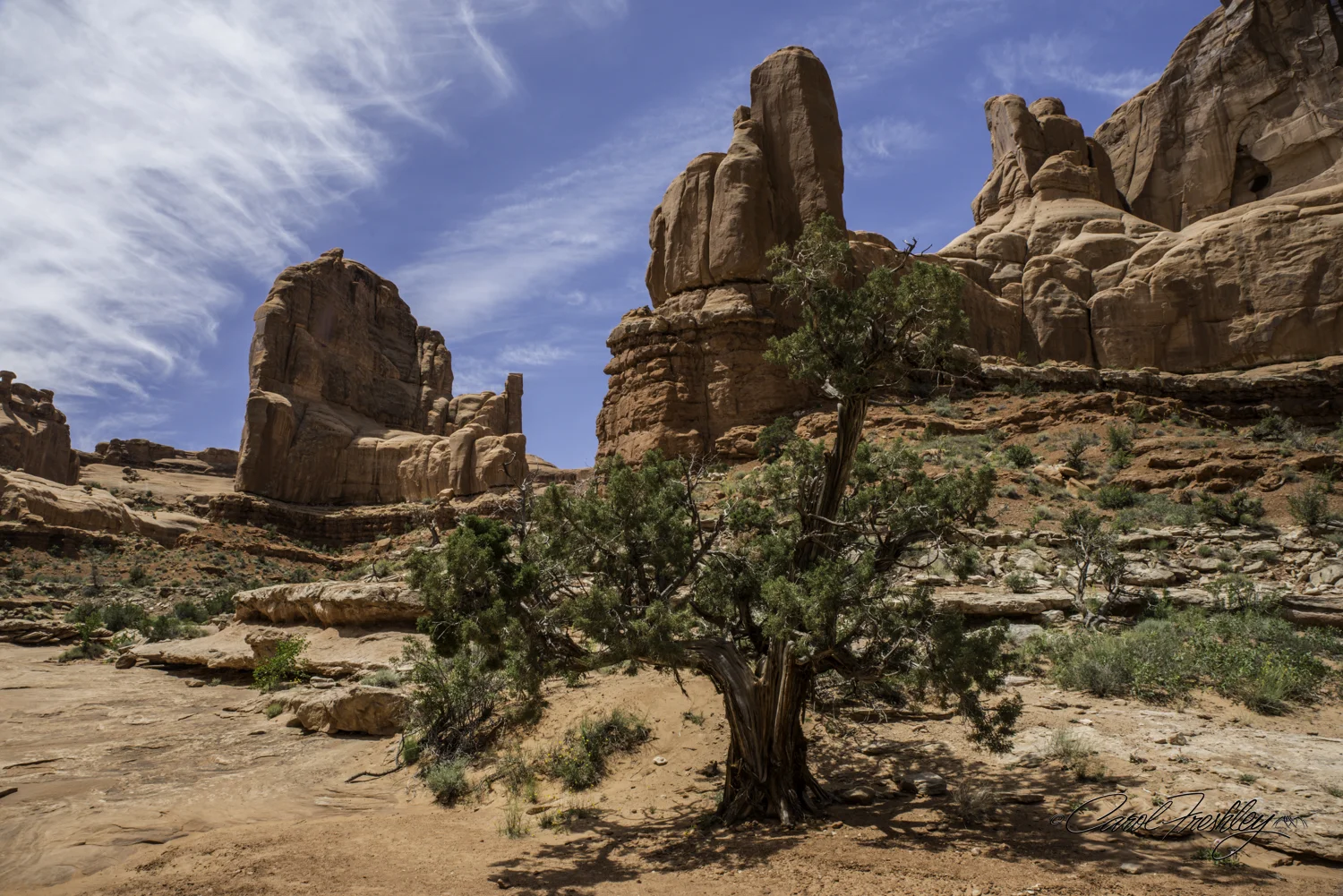Arches National Monument-16-12.jpg