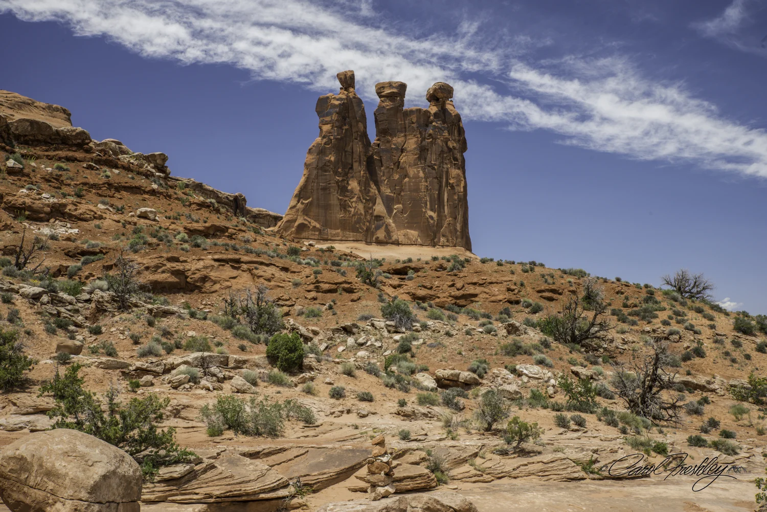Arches National Monument-19-13.jpg