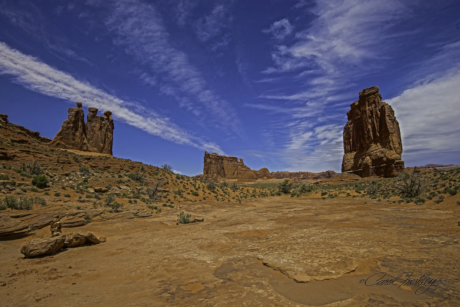 Arches National Monument-23-15.jpg