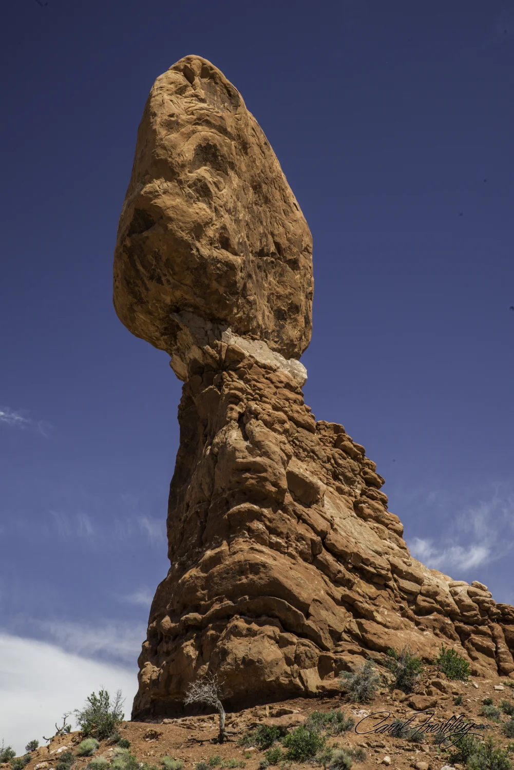 Arches National Monument-38-23.jpg