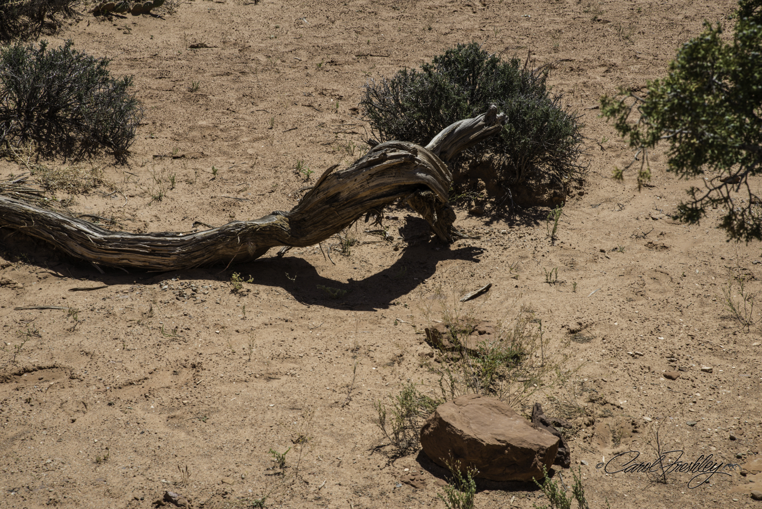 Arches National Monument-42-24.jpg