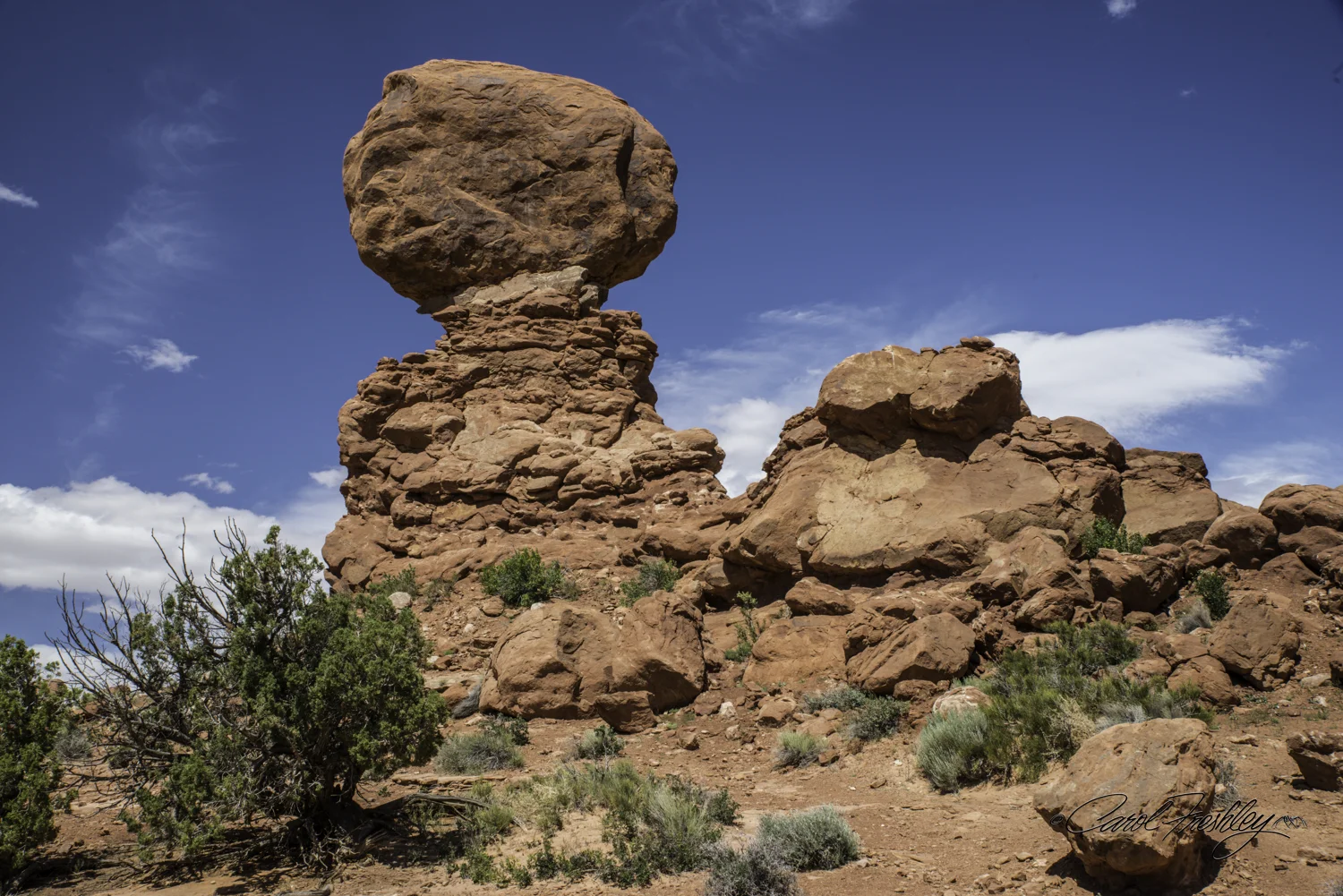 Arches National Monument-47-25.jpg