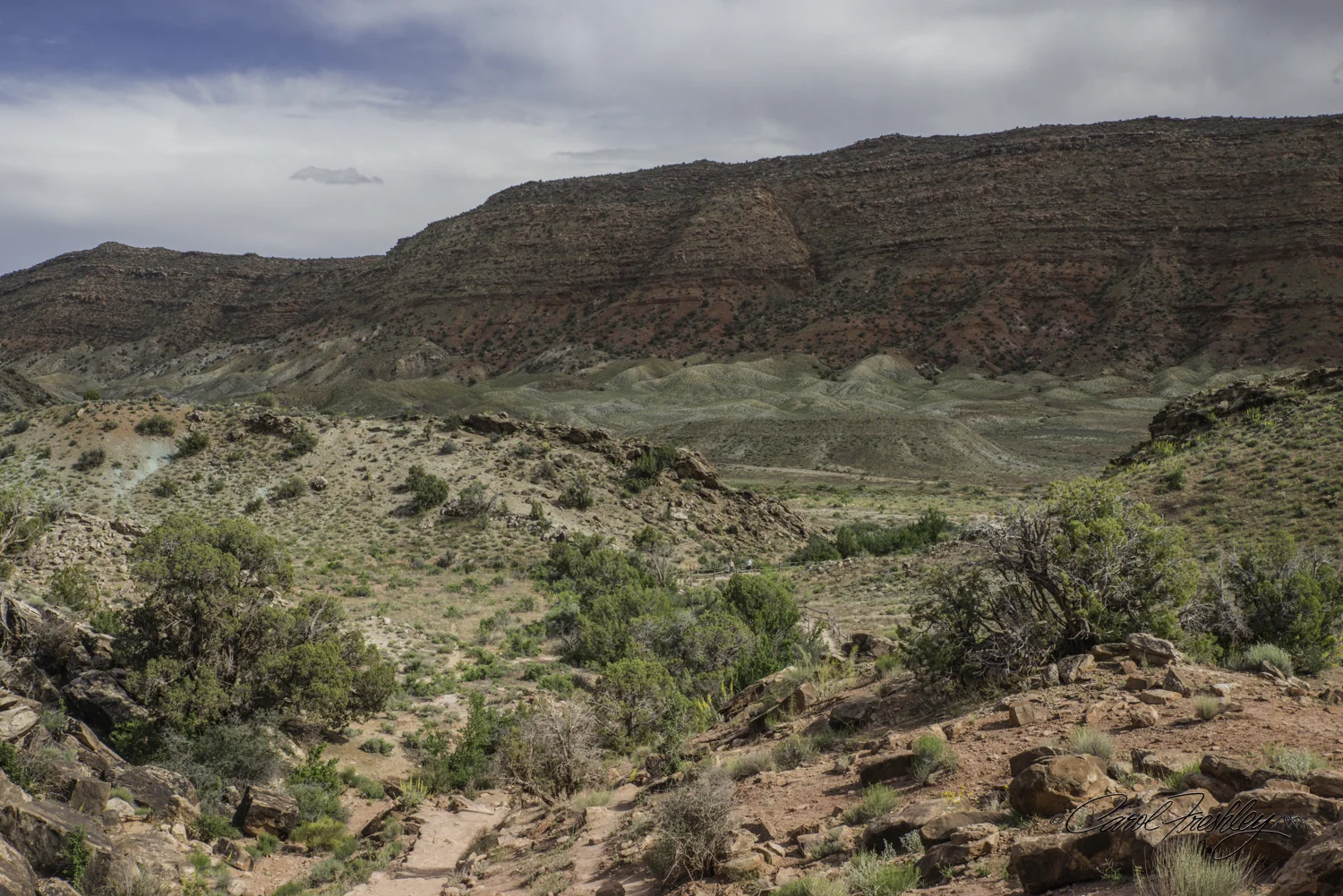 Arches National Monument-61-29.jpg