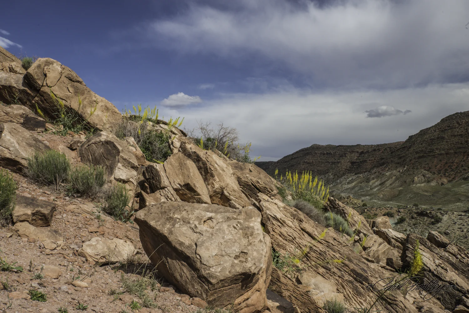 Arches National Monument-65-30.jpg