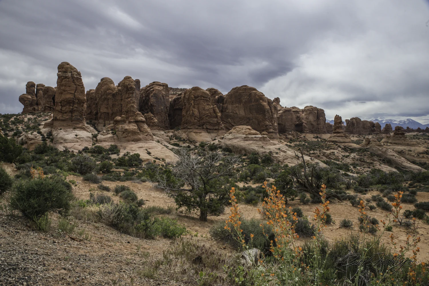 Arches National Monument-80-36.jpg