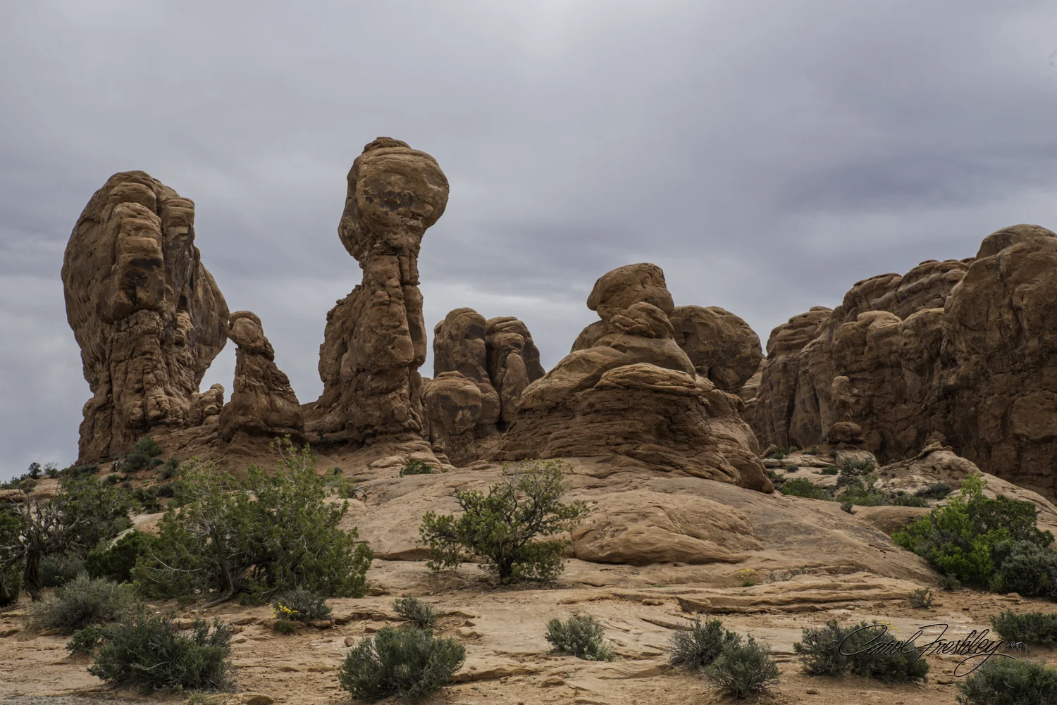 Arches National Monument-82-37.jpg
