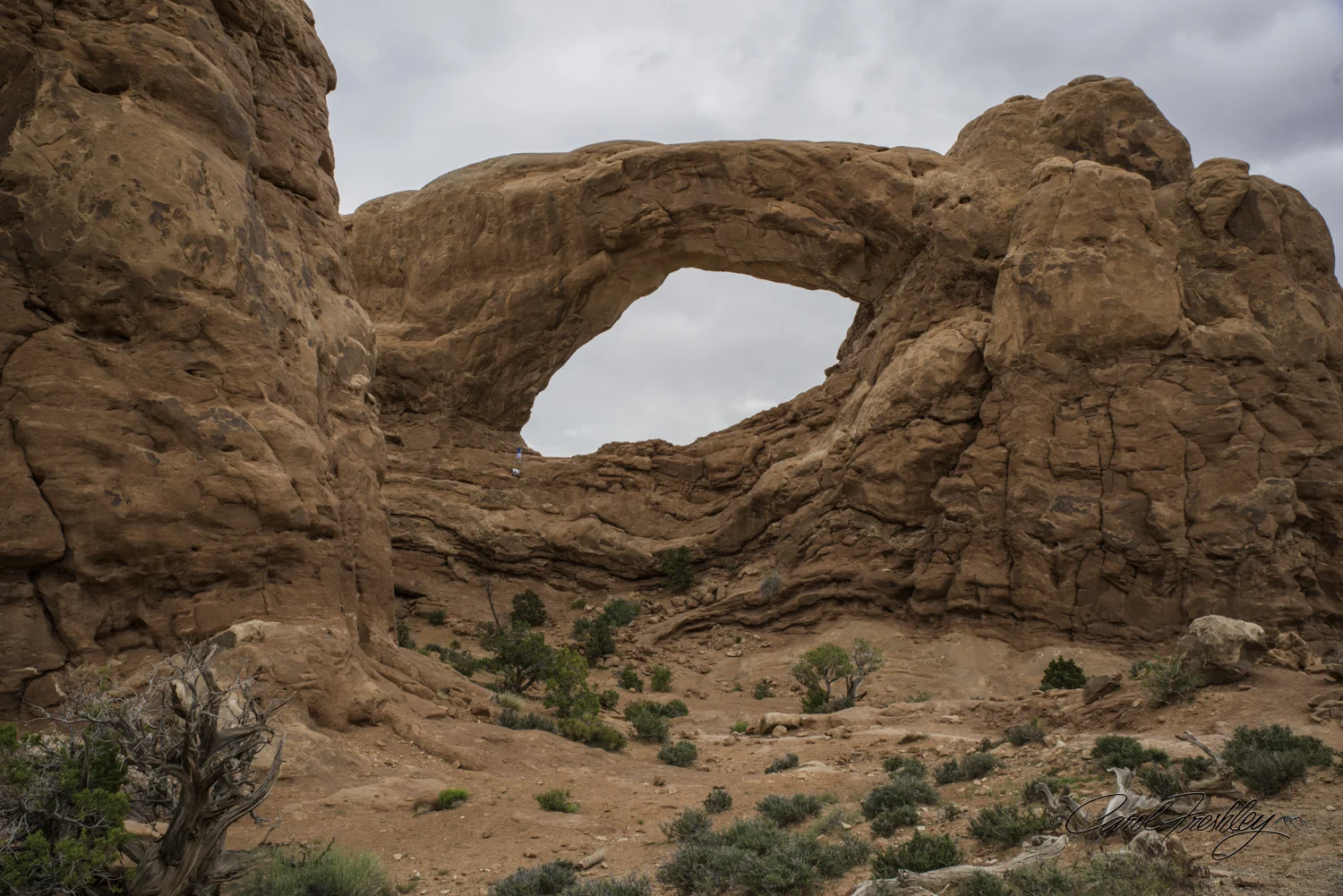 Arches National Monument-107-43.jpg