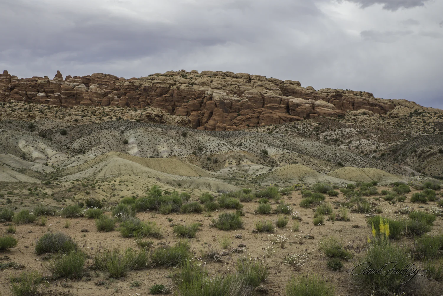 Arches National Monument-126-51.jpg