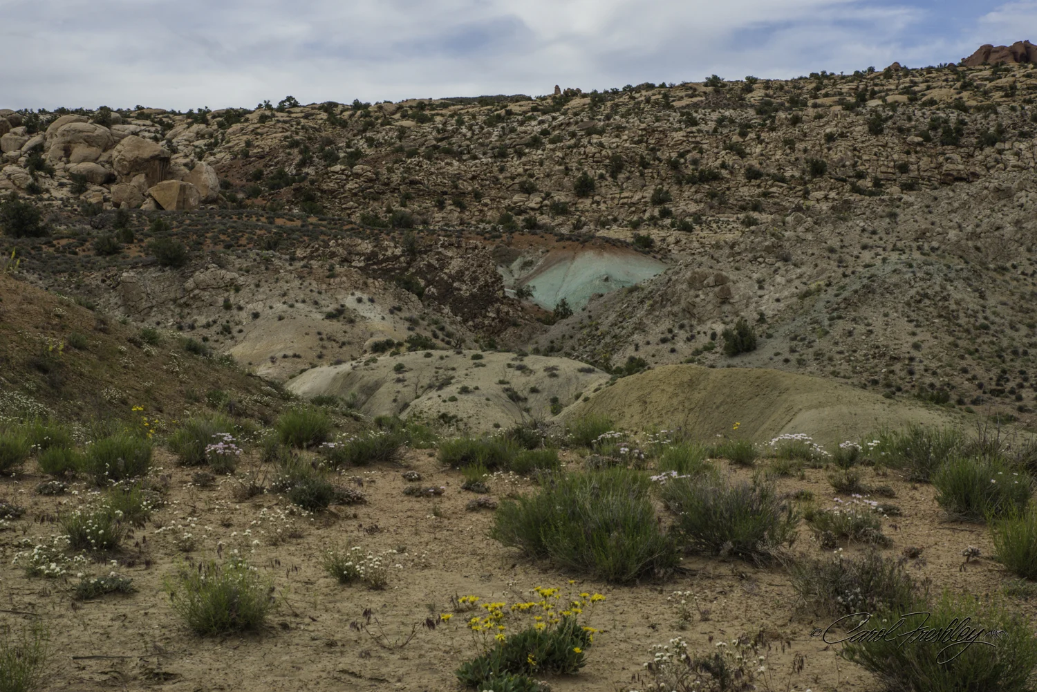Arches National Monument-127-52.jpg