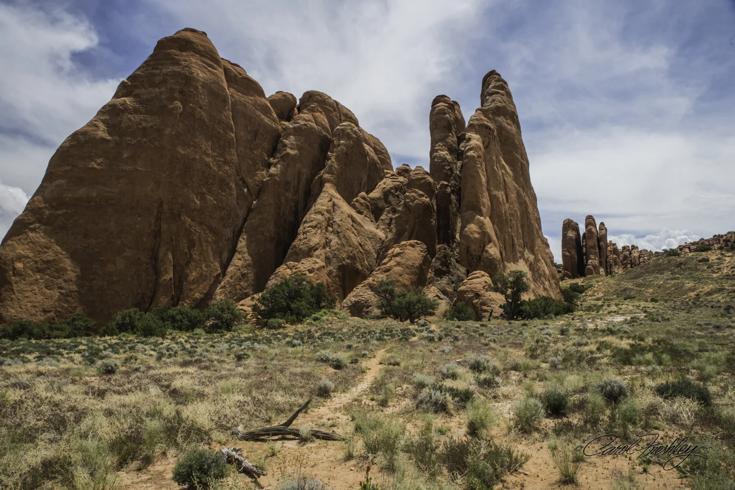 Arches National Monument-140-55.jpg
