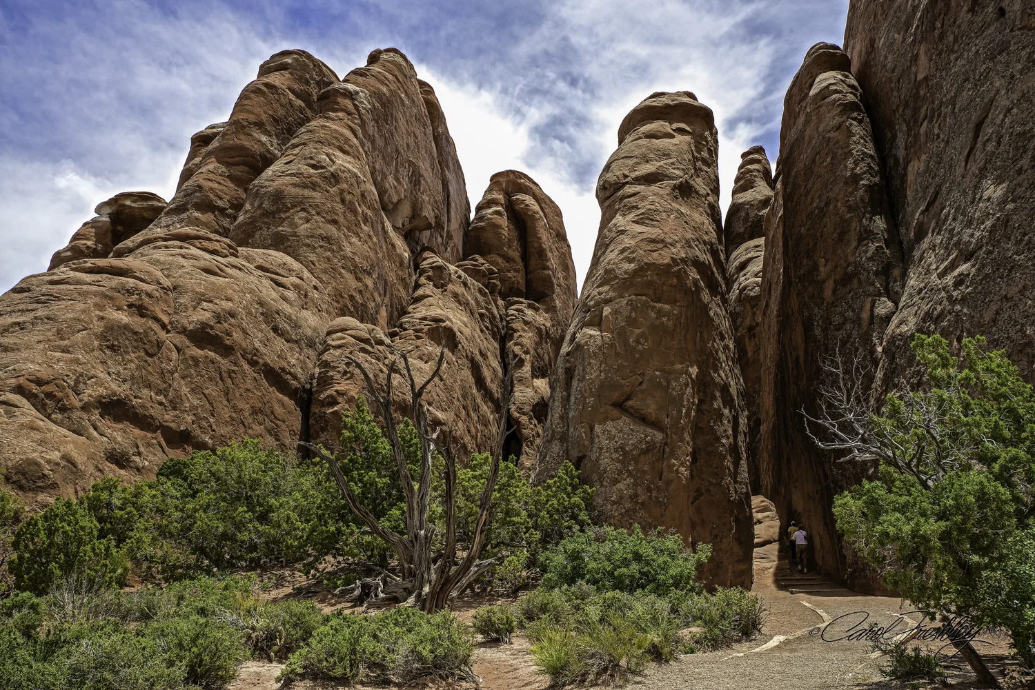 Arches National Monument-144-57.jpg