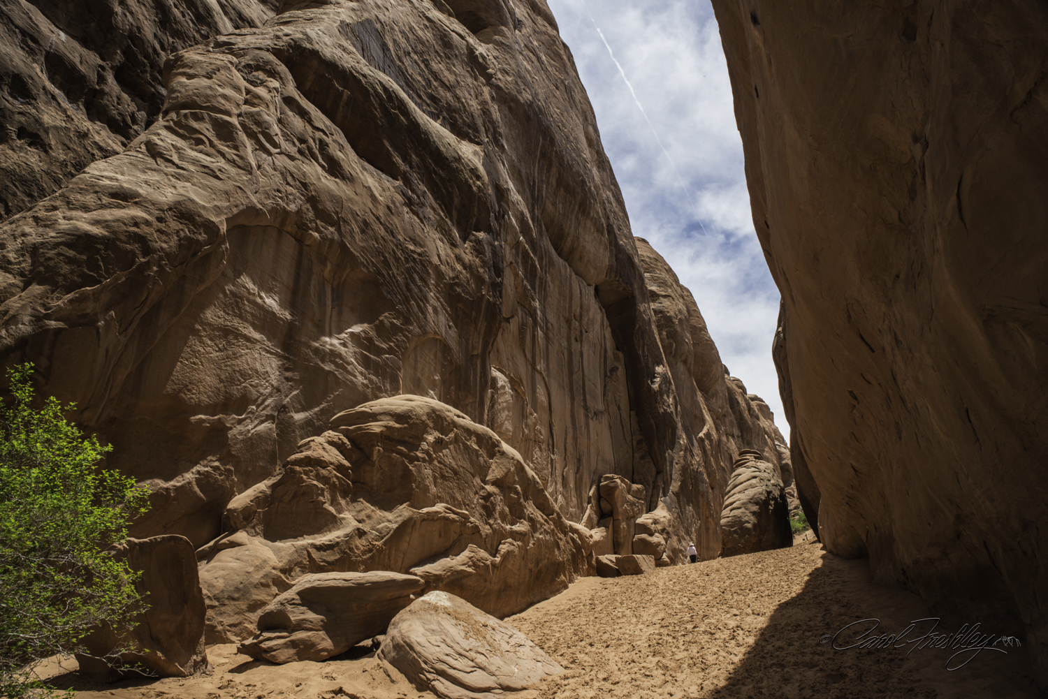 Arches National Monument-148-59.jpg