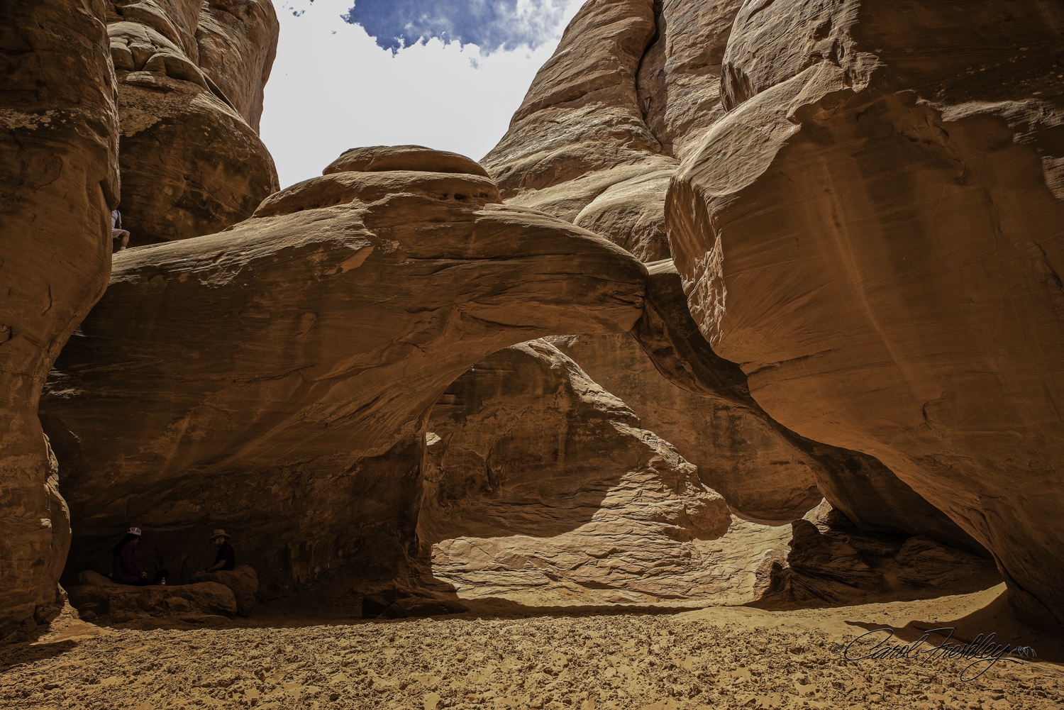 Arches National Monument-149-60.jpg