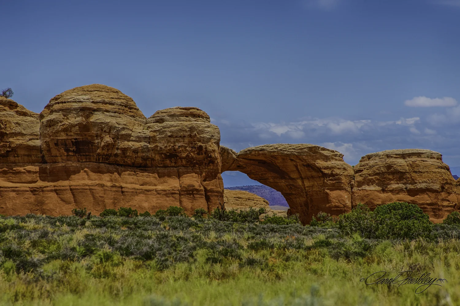 Arches National Monument-156-64.jpg