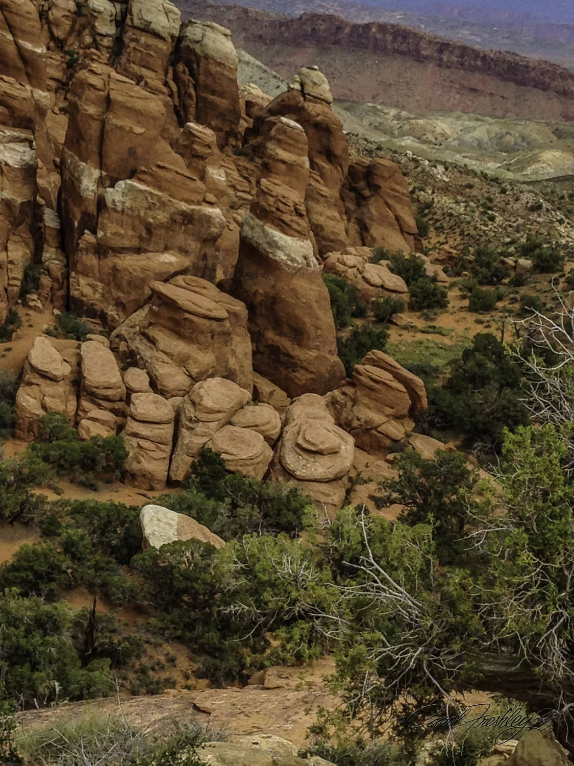 Arches National Monument-176-68.jpg