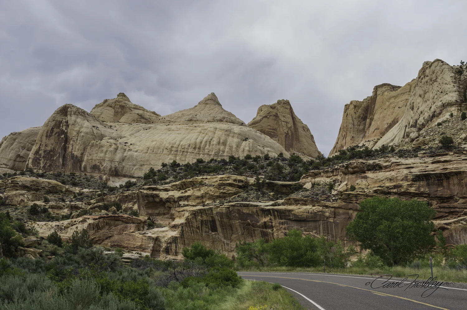 Capitol Reef National Monument-2-1.jpg