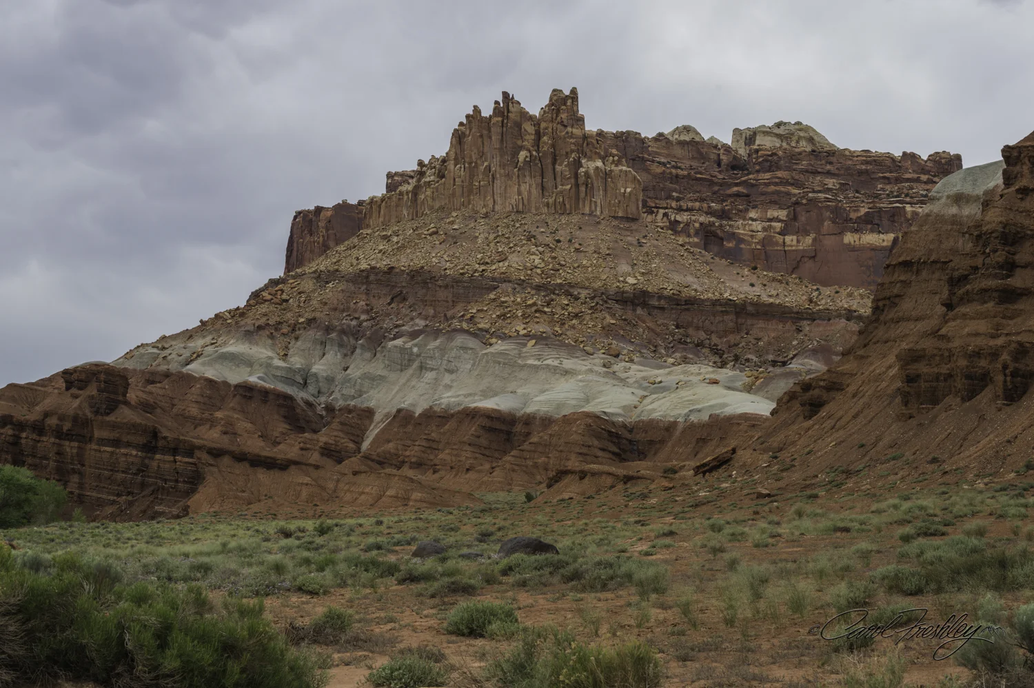 Capitol Reef National Monument-3-2.jpg