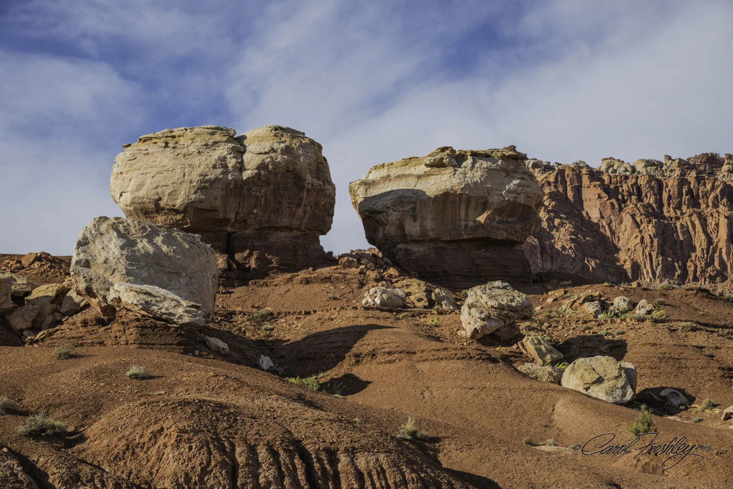 Capitol Reef National Monument-10-5.jpg