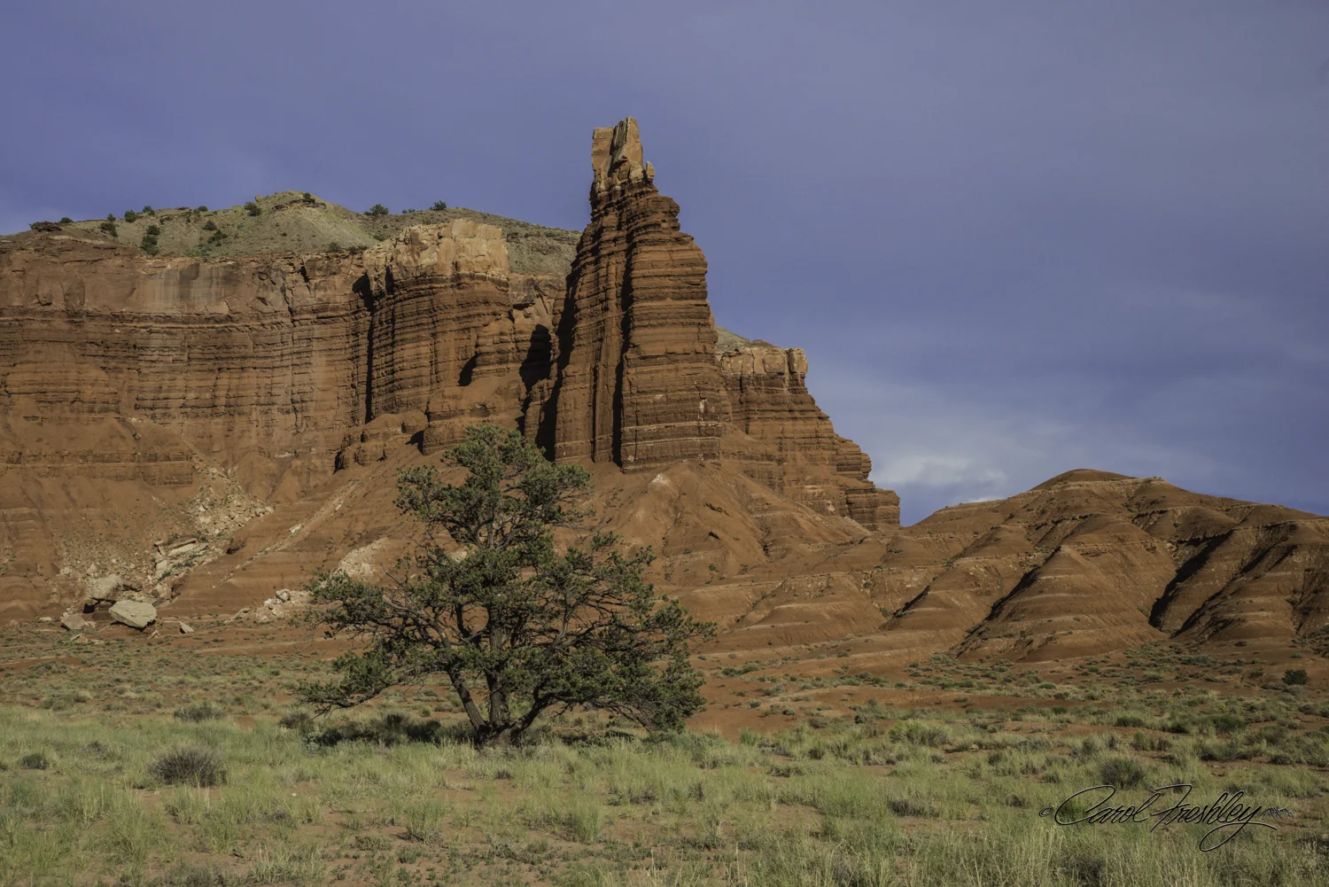 Capitol Reef National Monument-12-6.jpg