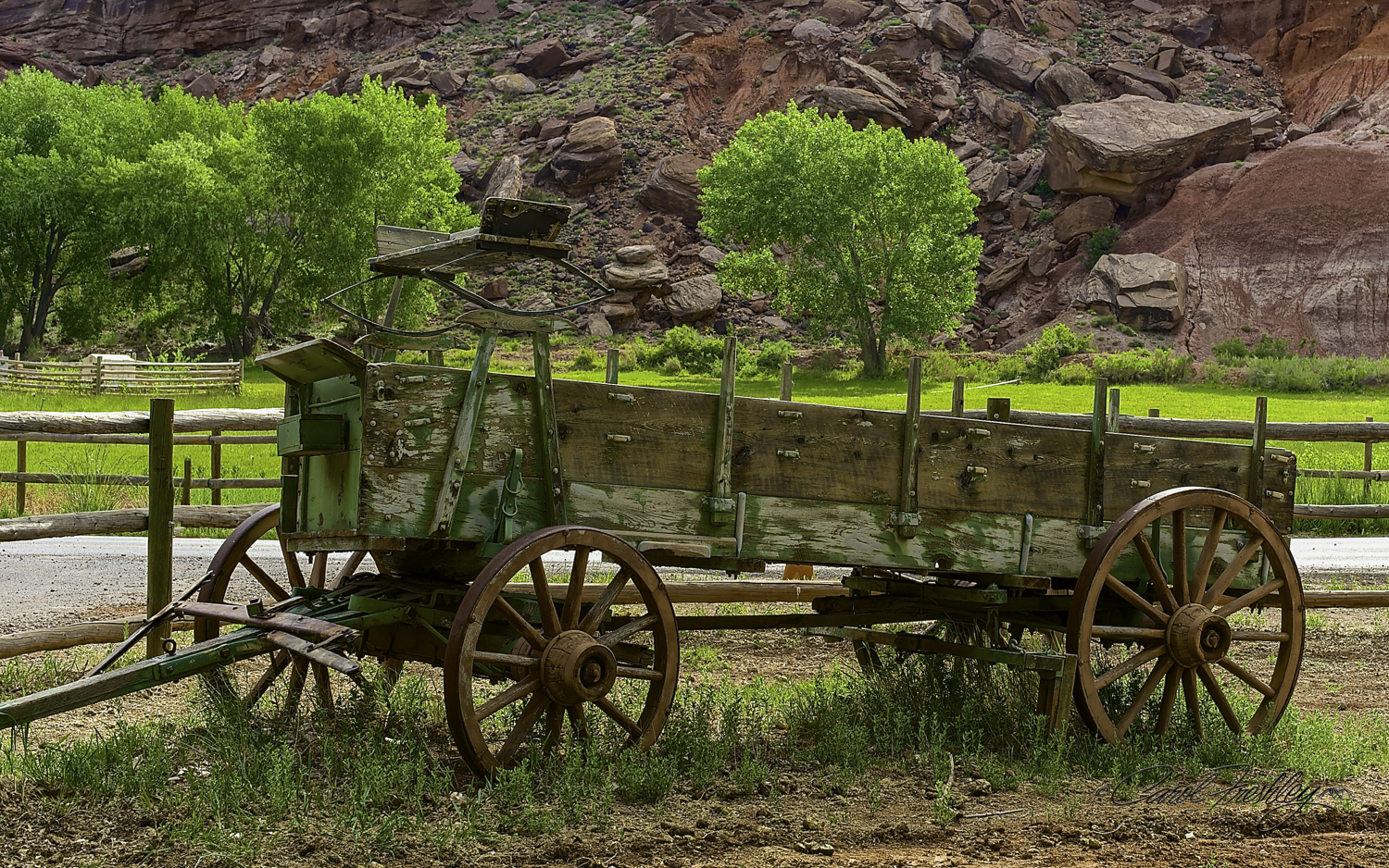 Capitol Reef National Monument-19-8.jpg