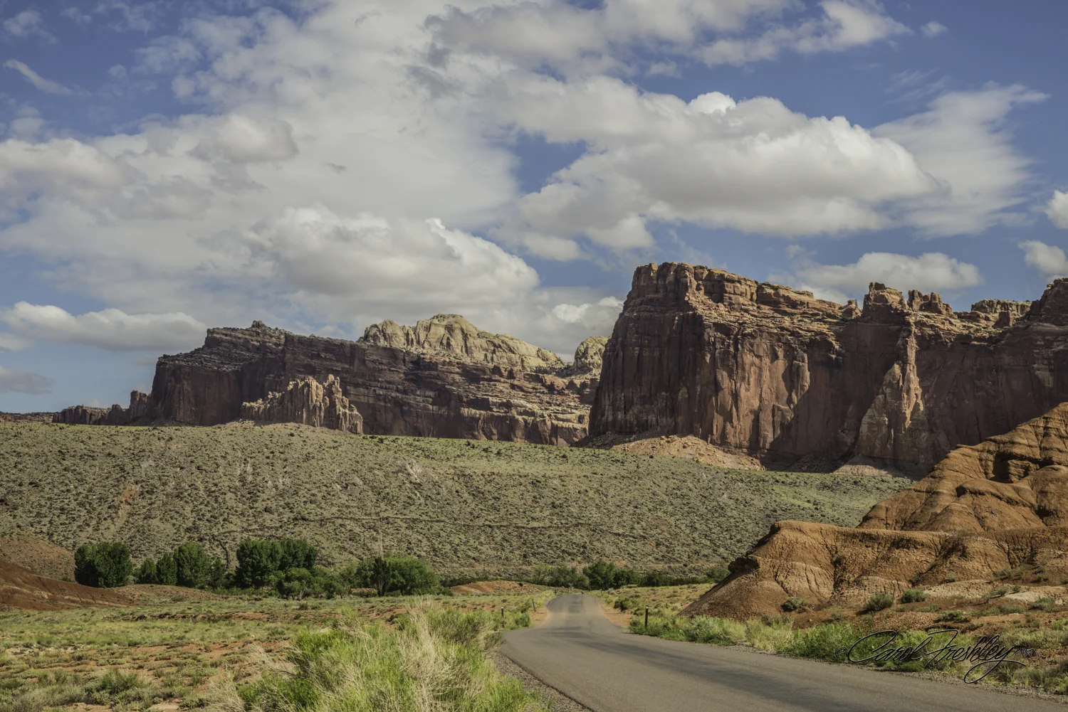 Capitol Reef National Monument-40-12.jpg