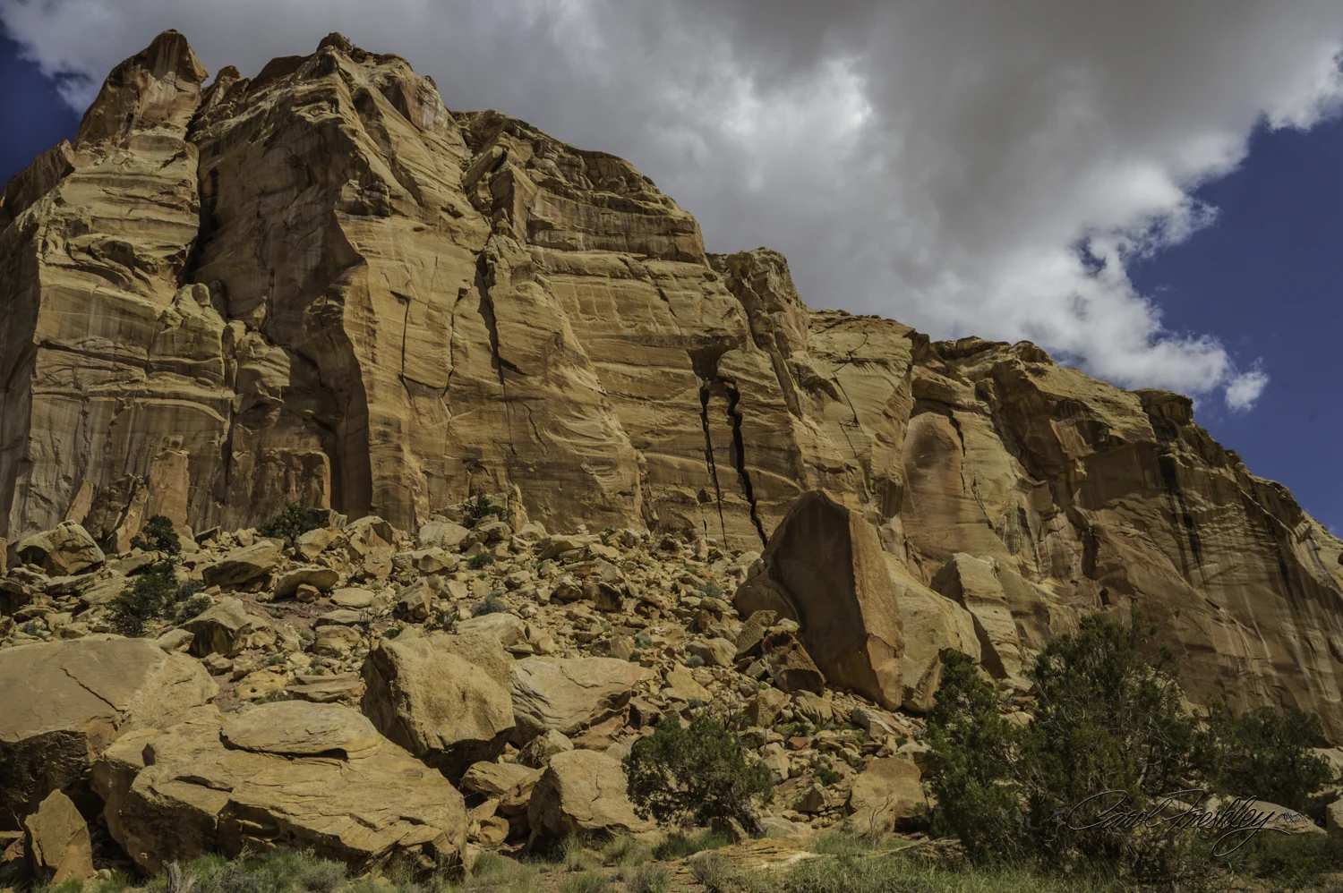 Capitol Reef National Monument-29-11.jpg