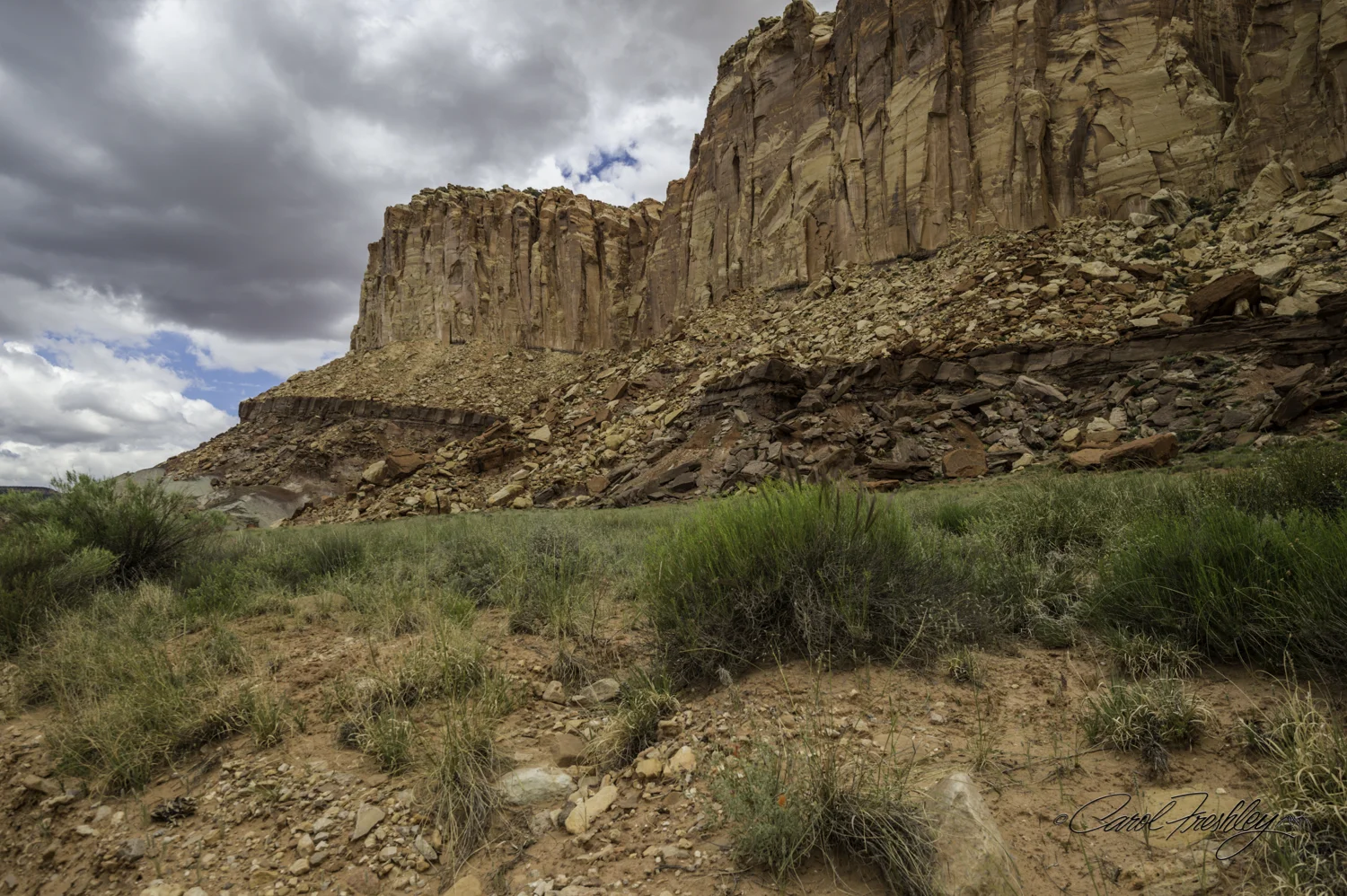 Capitol Reef National Monument-63-14.jpg