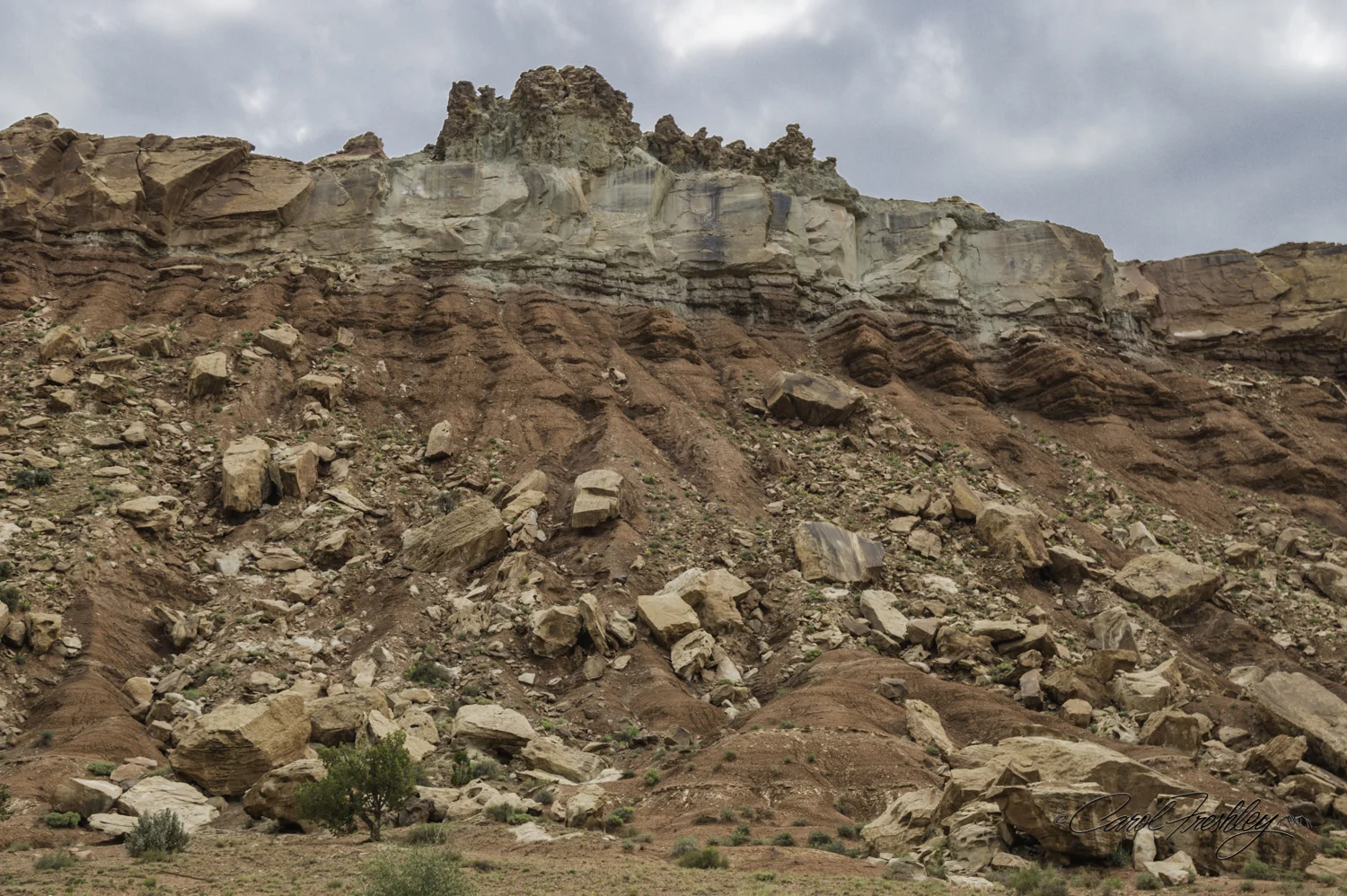 Capitol Reef National Monument-79-16.jpg