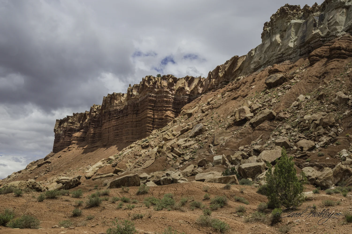 Capitol Reef National Monument-83-18.jpg