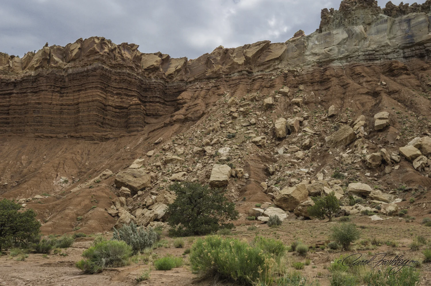 Capitol Reef National Monument-80-17.jpg