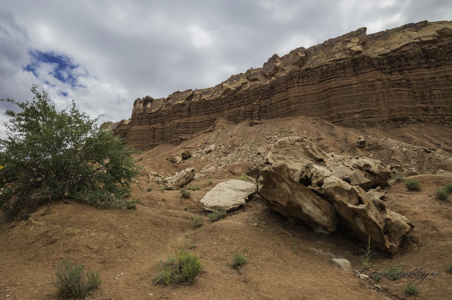 Capitol Reef National Monument-88-19.jpg