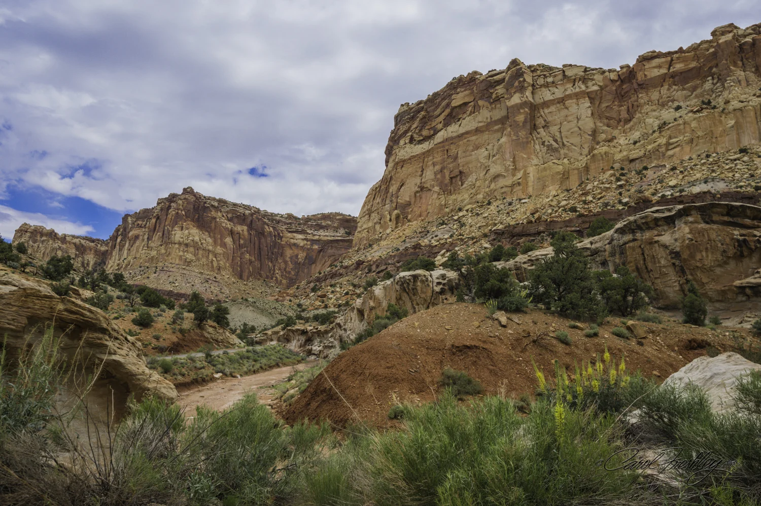 Capitol Reef National Monument-94-21.jpg