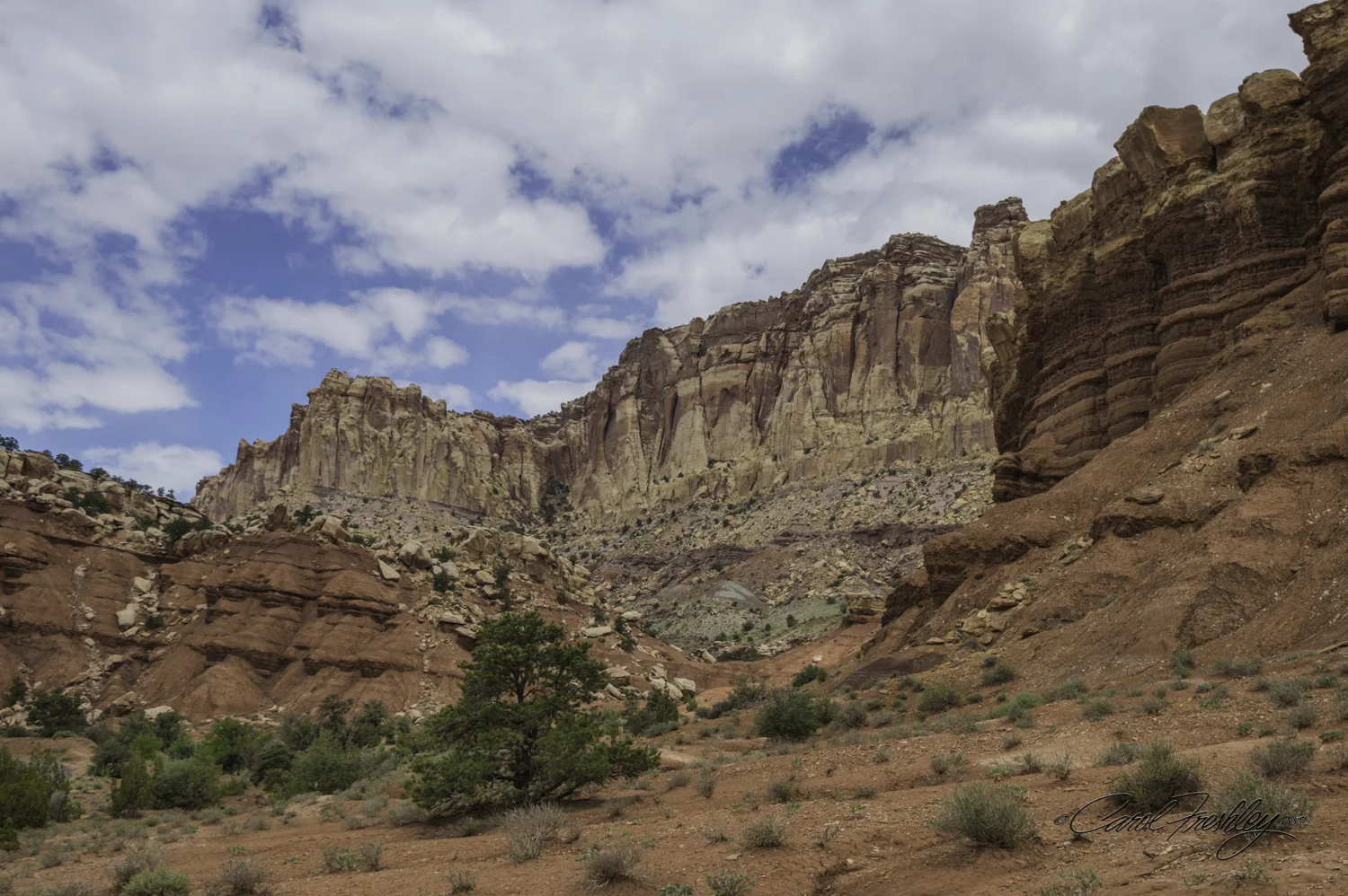 Capitol Reef National Monument-100-22.jpg