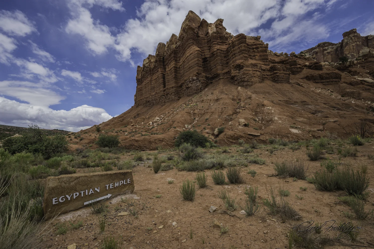 Capitol Reef National Monument-103-23.jpg