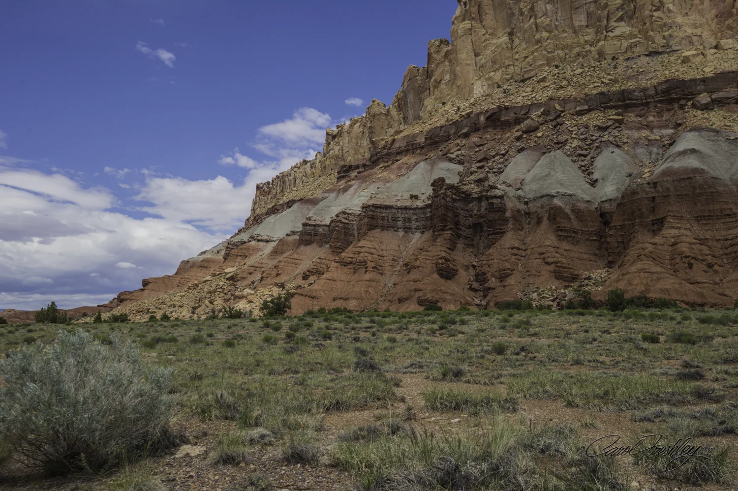 Capitol Reef National Monument-116-25.jpg