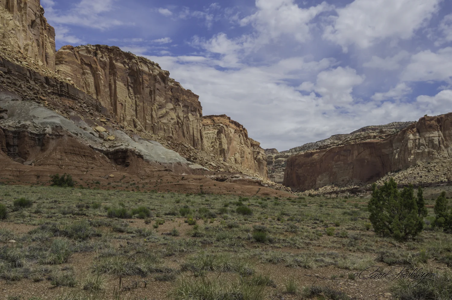 Capitol Reef National Monument-118-27.jpg