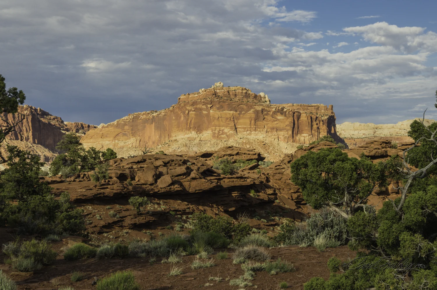 Capitol Reef National Monument-135-30.jpg